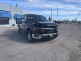New 2024 Ford F150 XLT w/ Equipment Group 302A MID image 4