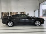 New 2025 Dodge Charger R/T w/ Quick Order Package 25M R/T image 3