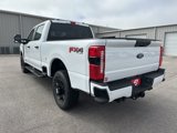 New 2025 Ford F250 XL w/ STX Appearance Package image 5