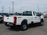 New 2025 Ford F250 XL image 5
