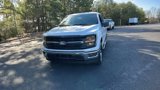 New 2025 Ford F150 XLT w/ Equipment Group 301A Standard image 3