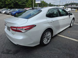 Used 2019 Toyota Camry XLE image 5