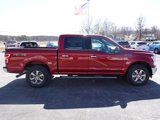 Used 2019 Ford F150 XLT w/ Equipment Group 301A Mid image 6