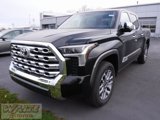 New 2025 Toyota Tundra 1794 Edition image 5