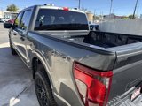 New 2025 Ford F150 STX image 5