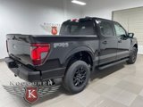 New 2025 Ford F150 XLT image 6
