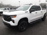 New 2025 Chevrolet Silverado 1500 Custom Trail Boss w/ Realtree Special Edition image 3