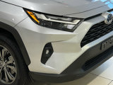 Certified 2023 Toyota RAV4 XLE Premium image 2