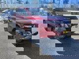 New 2025 Nissan Murano SL image 3