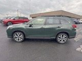 Certified 2024 Subaru Forester Limited image 2