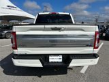 Certified 2023 Ford F150 Limited image 5