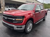 New 2025 Ford F150 XLT image 2