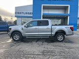 New 2025 Ford F150 XLT w/ Equipment Group 302A MID image 4