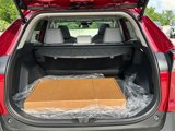 New 2025 Toyota RAV4 XLE Premium image 5