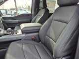 New 2025 Ford F150 XLT w/ Equipment Group 301A Standard image 4