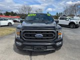 Used 2023 Ford F150 XLT w/ Equipment Group 302A High image 2