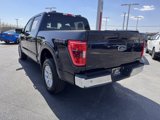 Used 2023 Ford F150 XLT image 3