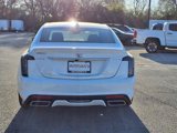 Used 2024 Cadillac CT5 Sport image 5