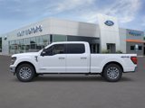 New 2025 Ford F150 XLT w/ Equipment Group 302A MID image 3