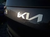 New 2026 Kia EV9 Light image 5