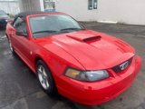 Used 2004 Ford Mustang Premium image 4