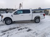 New 2025 Ford F150 XLT w/ Equipment Group 301A Standard image 3