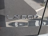 New 2025 Lexus LX 600 4WD w/ Luxury Package image 6