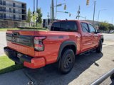 New 2025 Nissan Frontier PRO-4X w/ Pro Convenience Package image 2
