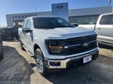 New 2025 Ford F150 XLT image 3