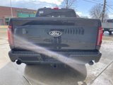 New 2025 Ford F150 XLT image 5