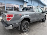 Used 2010 Ford F150 XL image 5