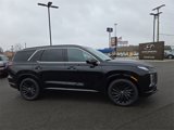 New 2025 Hyundai Palisade Calligraphy image 5