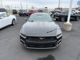 New 2025 Ford Mustang Premium image 2