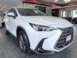 Used 2024 Lexus NX 250 AWD w/ Cold Area Package image 4