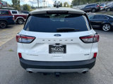 Used 2020 Ford Escape Titanium image 4