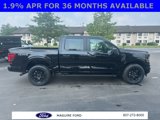 New 2025 Ford F150 STX w/ STX Black Appearance Package image 4