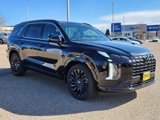 New 2025 Hyundai Palisade Calligraphy image 4