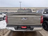New 2025 Ford F150 XLT w/ Equipment Group 302A MID image 5