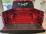 New 2025 Ford F150 XLT w/ Equipment Group 302A MID image 5