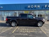 Used 2019 Ford F150 Platinum w/ Equipment Group 701A Luxury image 6