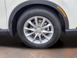 New 2026 Honda CR-V EX image 6