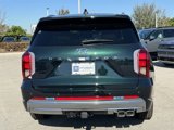 New 2025 Hyundai Palisade Calligraphy image 4