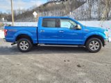 Used 2019 Ford F150 XLT w/ Equipment Group 302A Luxury image 6