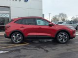 New 2025 Ford Escape ST-Line Elite w/ Tech Pack #1 image 3