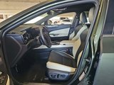 Used 2024 Lexus NX 250 FWD image 4