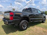 Used 2024 Ford F250 Platinum w/ Tremor Off-Road Package image 6