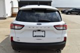 Used 2022 Ford Escape SE image 4