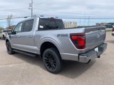 New 2025 Ford F150 XLT w/ Equipment Group 302A MID image 3