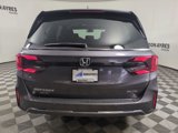 New 2026 Honda Odyssey Elite image 4