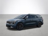 New 2025 Kia Carnival SX Prestige image 4